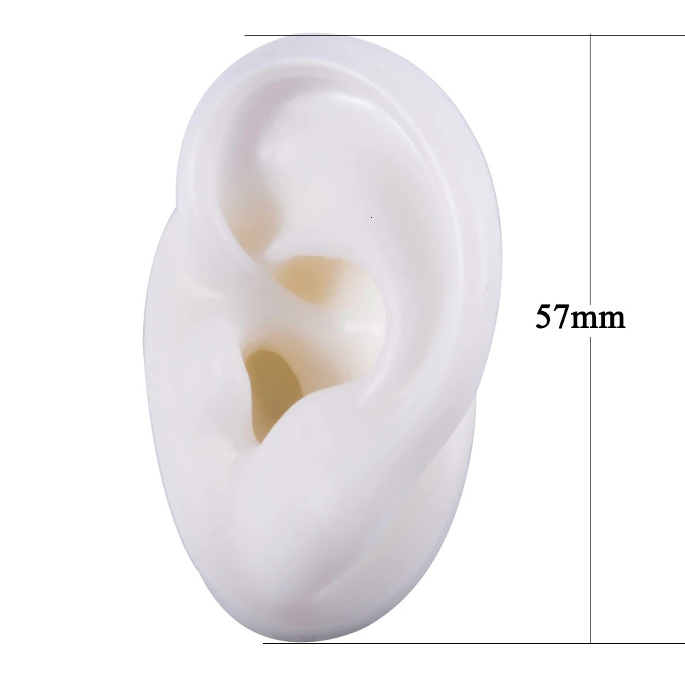 1 piece of soft silicone earplug model tattoo utility tool earring jewelry display acrylic display stand kit is selling 240705