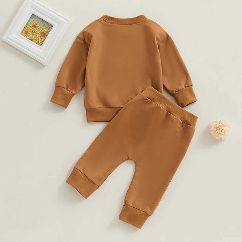 Clothing Sets 0-3Y Baby Boys Autumn Outfits 3D Embroidered Long Sleeve Sweatshirts Pants Sets Kids Casual Clothes Toddler Tracksuits R240708