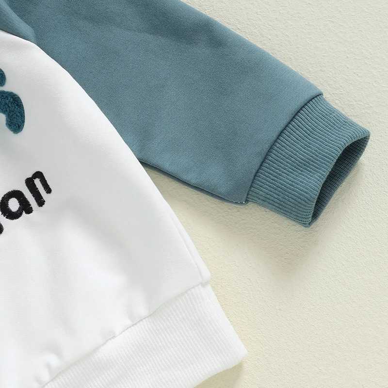 Clothing Sets Toddler Boy Autumn Clothes Letter Embroidery Long Sleeve Pullover Sweatshirt and Pants Set Kids Casual Tracksuits Outfits R240708