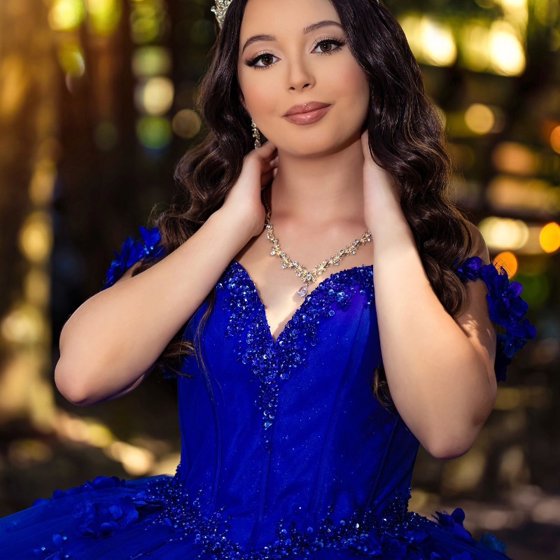 Royal Blue Ball Gown Quinceanera Dresses Off The Shoulder 3D wers Appliques Beads Tull Corset Sweet 16 Dress Vestidos De 15 Anos
