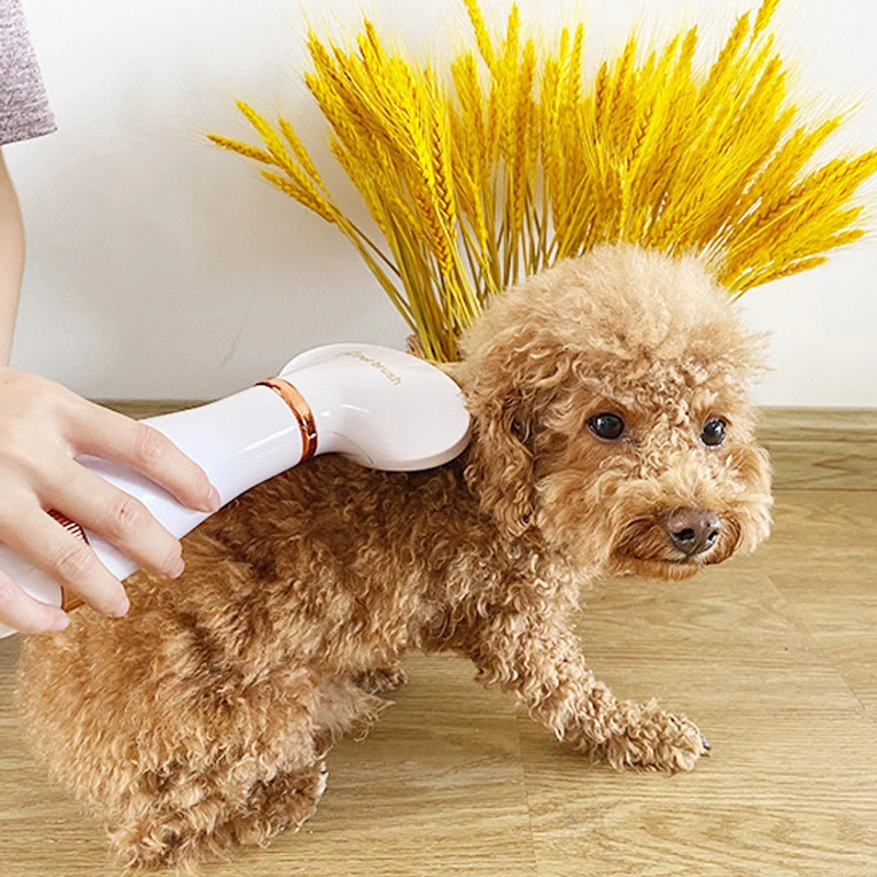 Two-in-one Pet Hot Air Comb Dryer For Blowing And Cleaning Cats And Dogs Pet Hair Dryer Comb Pet Brush Comb