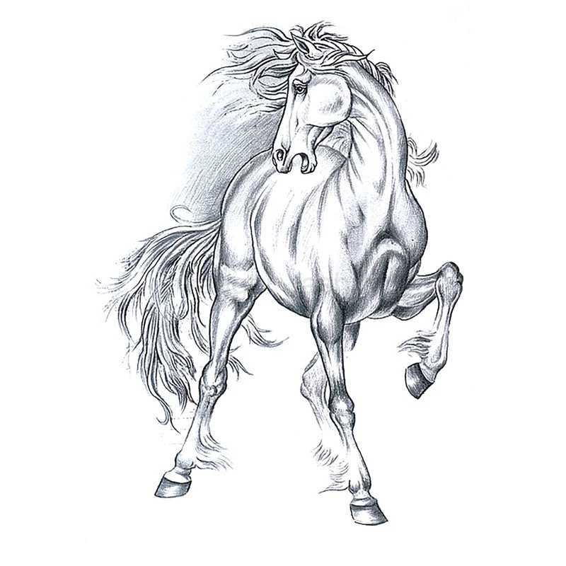 Tattoo Sticker Bird Wings Flower Plant Horse Carp Wolf Tatoo Temporary Waterproof Fake Tattoos for Women Men Makeup Body ArtB240713