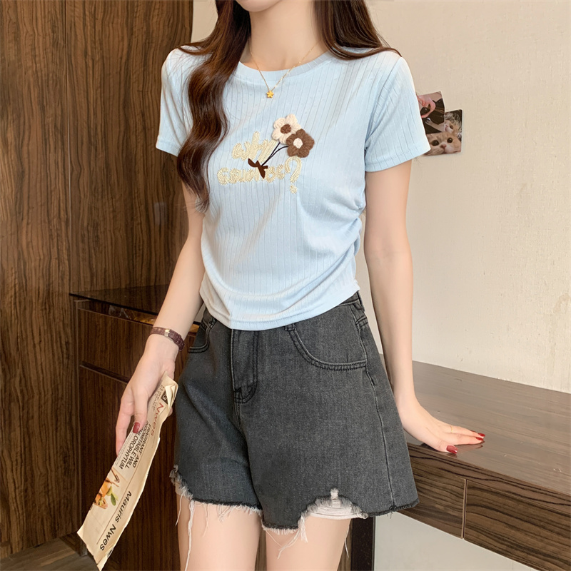 New Summer Collection Women's Round Neck Embroidered Striped with Waist Tight Fit and Short Sleeves T-shirt for Women
