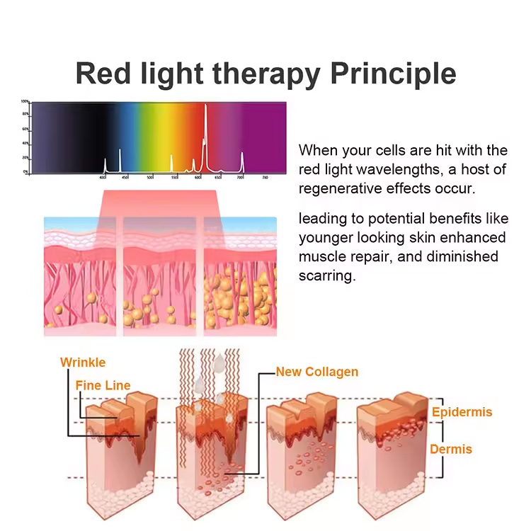 Full Body Infrared Red LED Light Therapy Treatment Fat Burn Weight Loss Skin Tighten Physiotherapy solarium tanning Bed