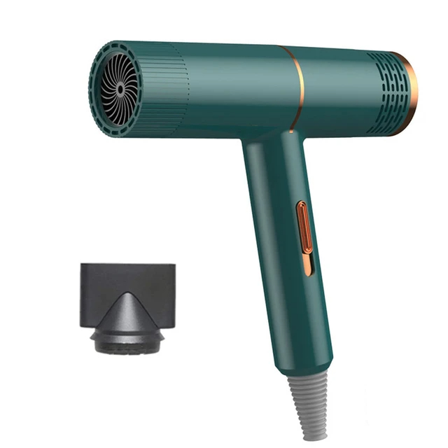 Dog Grooming Dryer Pet Hair Cat Blower Warm Wind 1000w Eu Plug Cold Hot Air With Heater For Medium Small Puppy