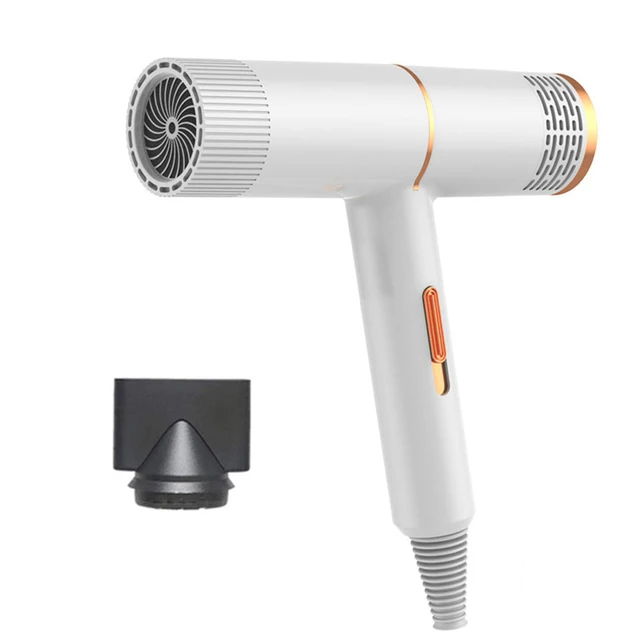 Dog Grooming Dryer Pet Hair Cat Blower Warm Wind 1000w Eu Plug Cold Hot Air With Heater For Medium Small Puppy