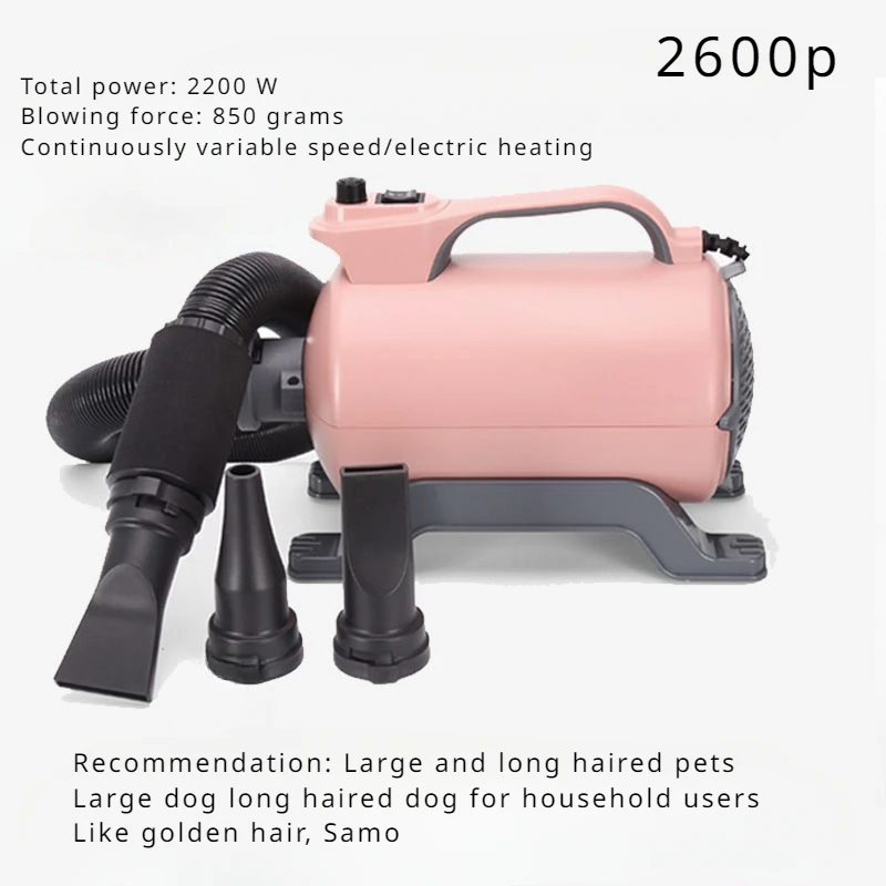 High Power Silent Pet Blowing Water Machine Large Dog Teddy Golden Haired Cat and Dog Hair Dryer