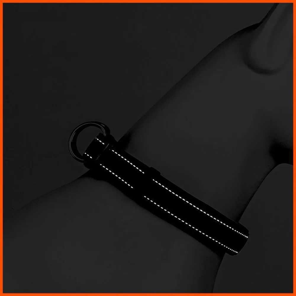 Adjustable Dog Collar Comfortable Soft Foam Padded Reflective Nylon Dog Collar with Double D Rings for Small Medium Large Dogs W250219