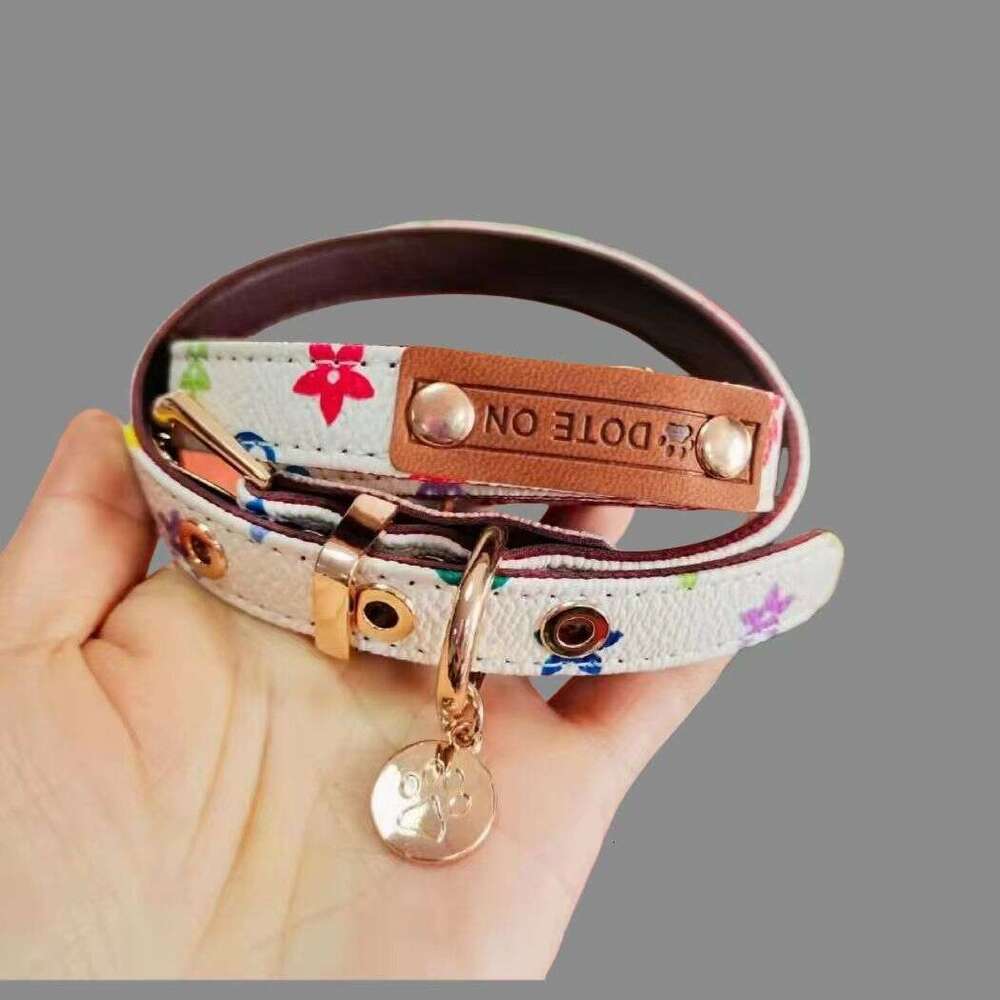 Designer Pet collar leash set durable adjustable walking dog neck for dogs and cats