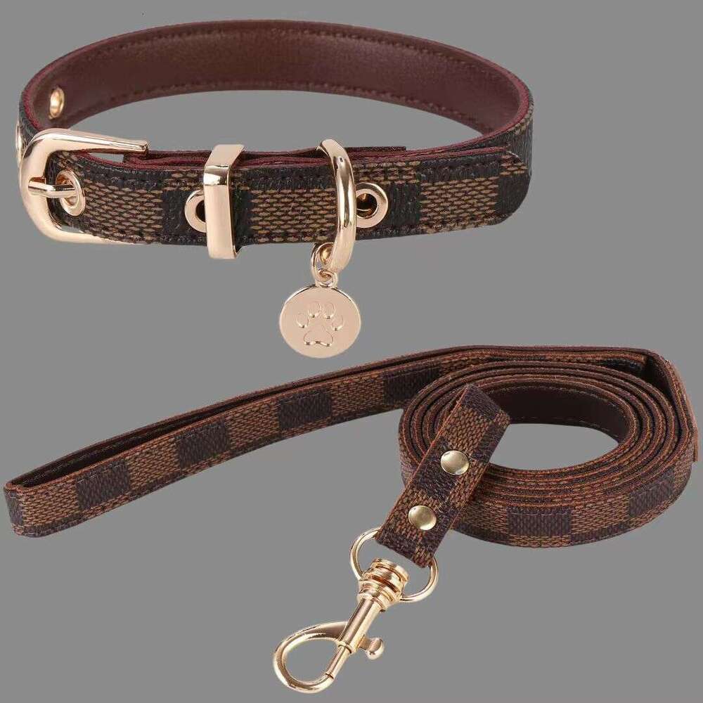 Designer Pet collar leash set durable adjustable walking dog neck for dogs and cats