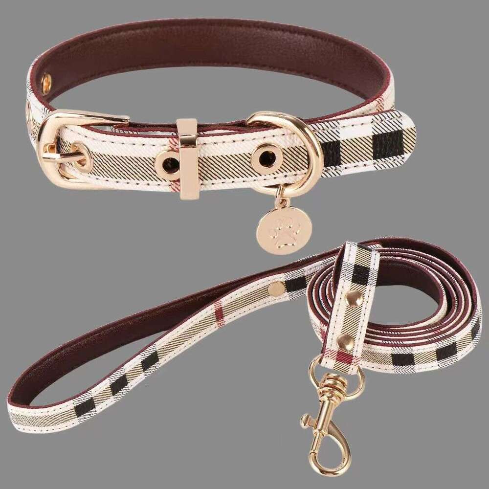 Designer Pet collar leash set durable adjustable walking dog neck for dogs and cats