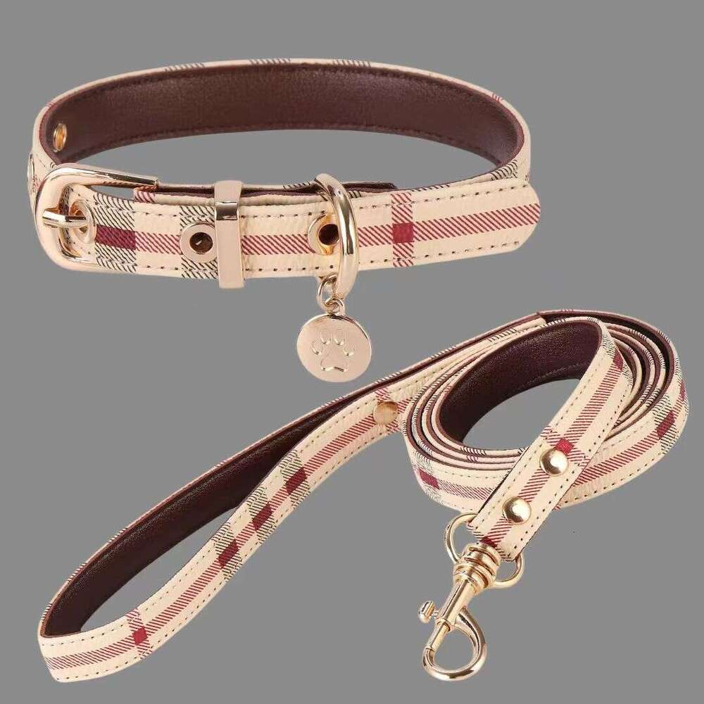 Designer Pet collar leash set durable adjustable walking dog neck for dogs and cats