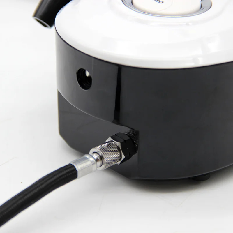 Facial Oxygen Therapy Steam Nail Art Airbrush Paint Nail Nano Sprayer Skin Cleaning Therapy Moisturizing Rejuvenation Compressor 240711