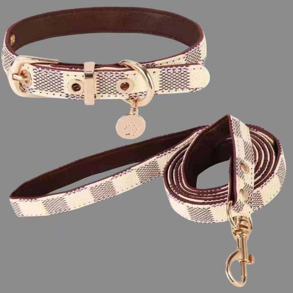 Designer Pet collar leash set durable adjustable walking dog neck for dogs and cats