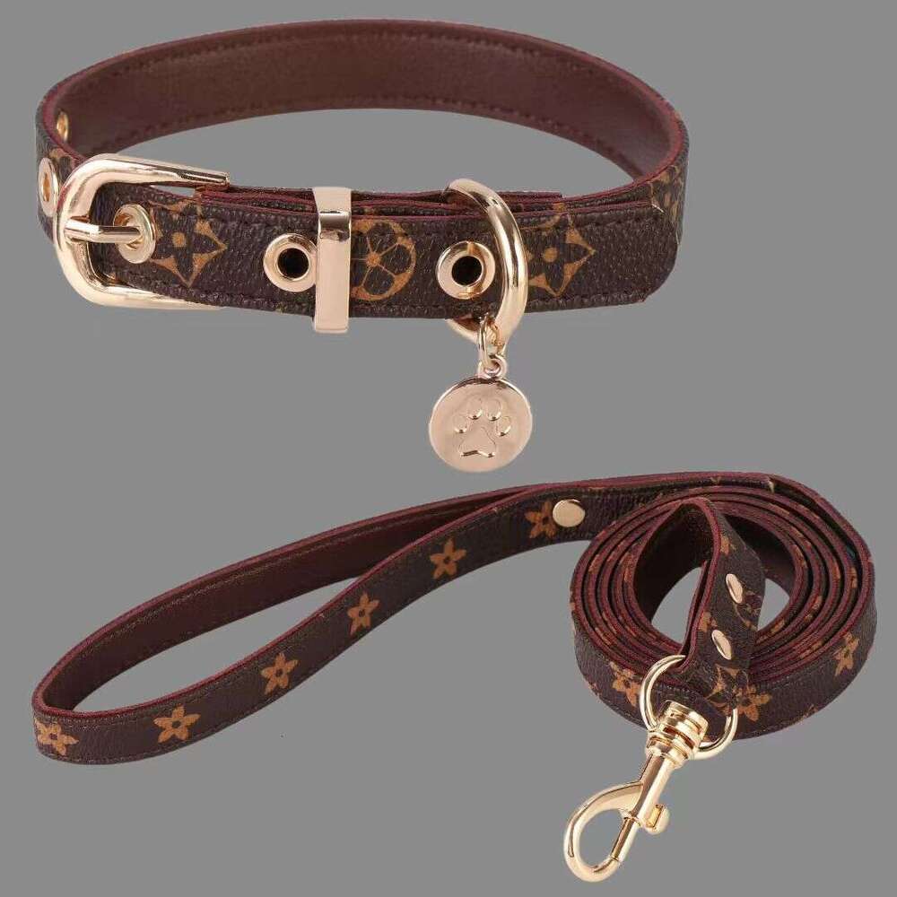 Designer Pet collar leash set durable adjustable walking dog neck for dogs and cats