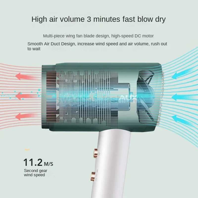 220V AUX hair dryer for student negative ion hair care in residential dormitories large wind speed drying air ductBkl240717