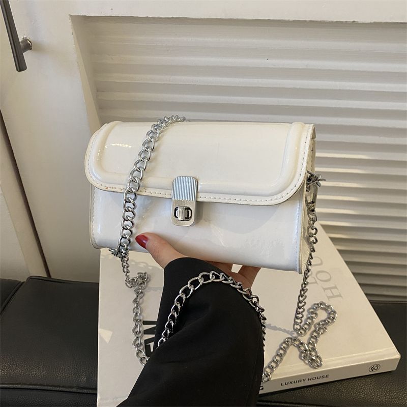 Crossbody small for women 2024 new model super popular versatile internet celebrity texture niche design high-end chain bag H7.18#16