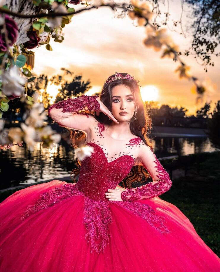 Bury Princess Quinceanera Dresses Sparkly Long Sleeve Crystal Applique Puffy Corset Vestidos De Anos Lz0304