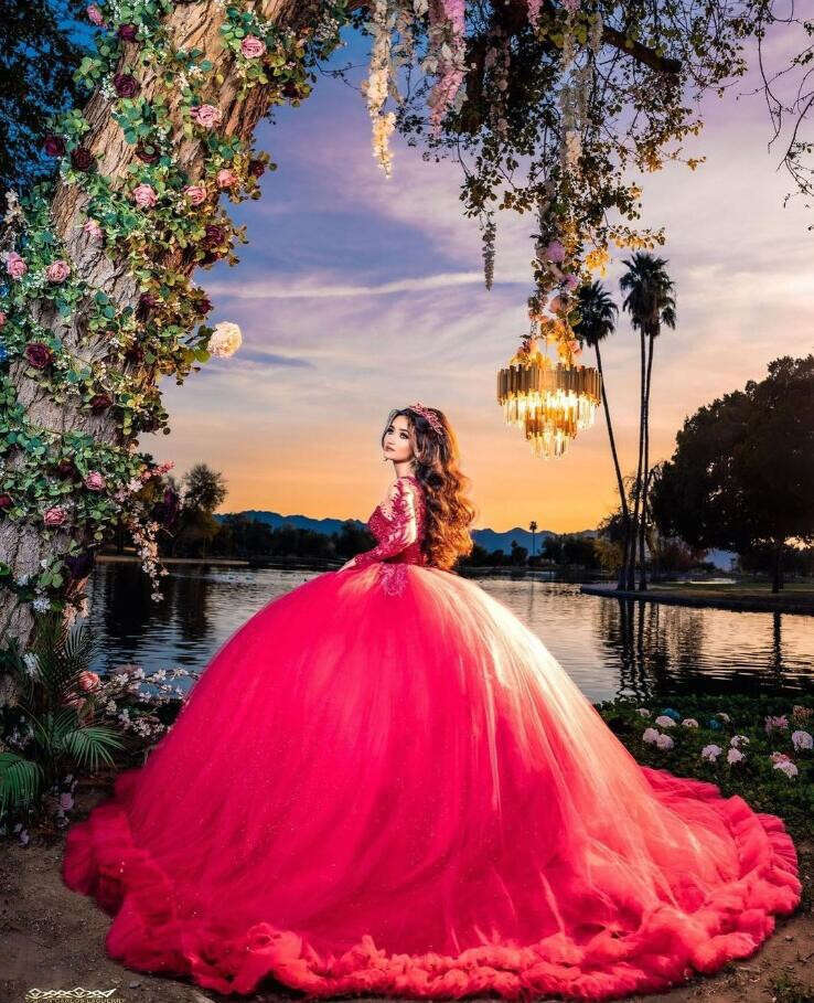 Bury Princess Quinceanera Dresses Sparkly Long Sleeve Crystal Applique Puffy Corset Vestidos De Anos Lz0304