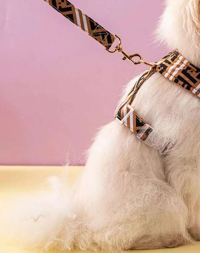 2025 new New Designer Harness Leashes Set Classic Letter Pattern No Pull Dog Harnesses Lightweight Adjustable Super Soft Breathable Pet Vest for Puppi