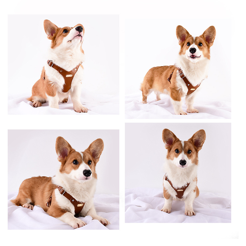 Hot selling pet products comfortable waterproof leather dog harness for outdoors