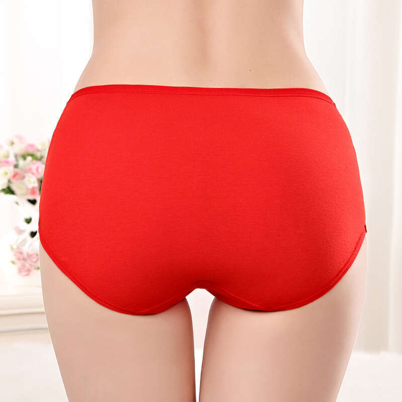 Born in Year of the Zodiac, with Gold Foil Printing, Red Abdominal Underwear, Mid Waist Cotton Women's Underwear Underwear Women Panties Lingerie