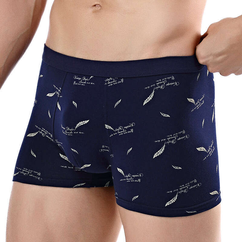 Printed 3D Underwear, Pure Cotton Men's Printed Boxer Underwear Men Underwear Designer Designer Underwear Men Underwear Boxers for Men Mens Boxer