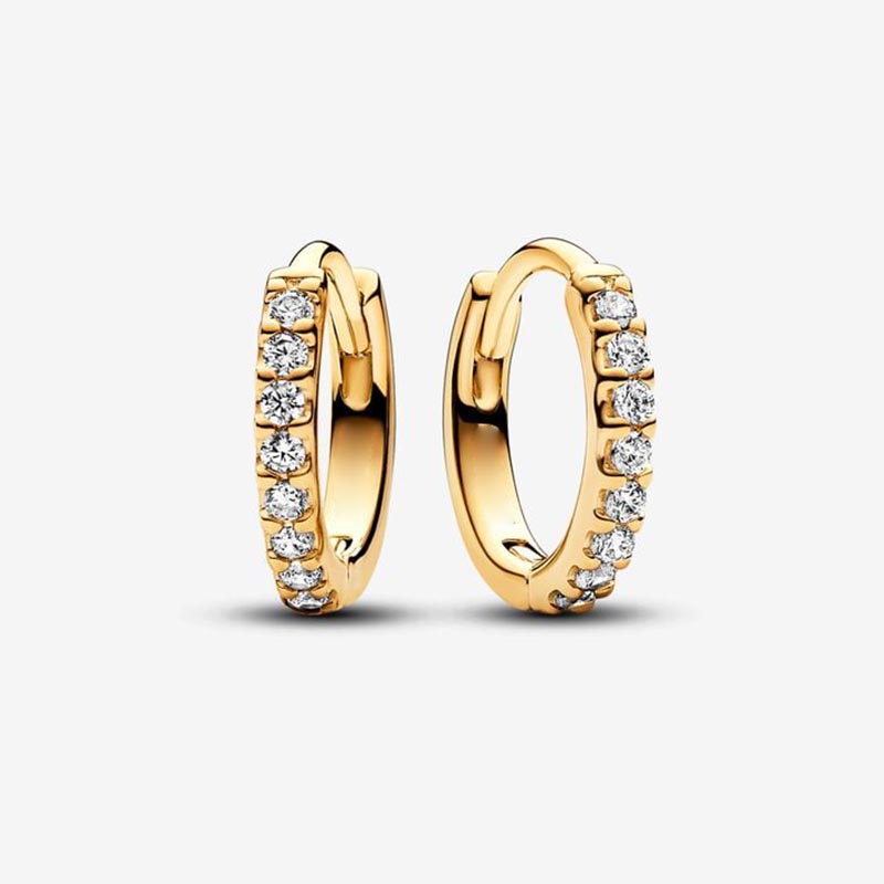Sparkling Hie Hoop Earrings Sterling Sier Dia Earring For Women Men Party Jewelry Gold earrings with Retail Box Set High quality