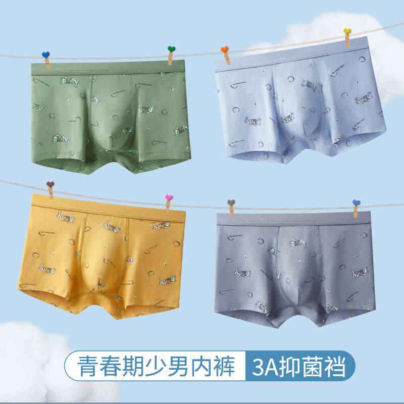 50S Pure Cotton Fashionable Printed Flat Corner Pants 3DU Convex Large Space Youth Development Period Men's Underwear Boxer Panties Boxers Sexy M