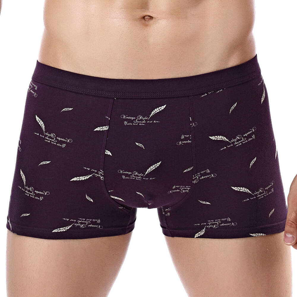 Printed 3D Underwear, Pure Cotton Men's Printed Boxer Underwear Men Underwear Designer Designer Underwear Men Underwear Boxers for Men Mens Boxer