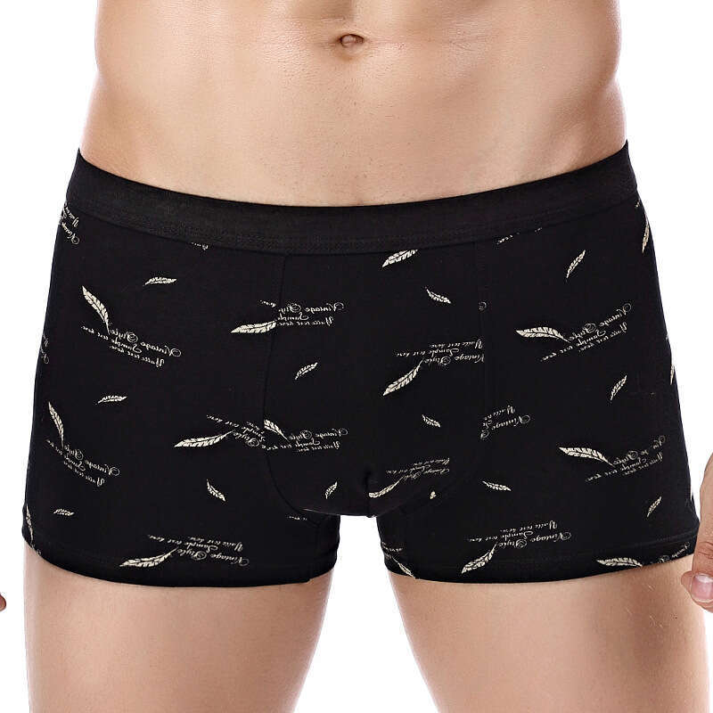 Printed 3D Underwear, Pure Cotton Men's Printed Boxer Underwear Men Underwear Designer Designer Underwear Men Underwear Boxers for Men Mens Boxer