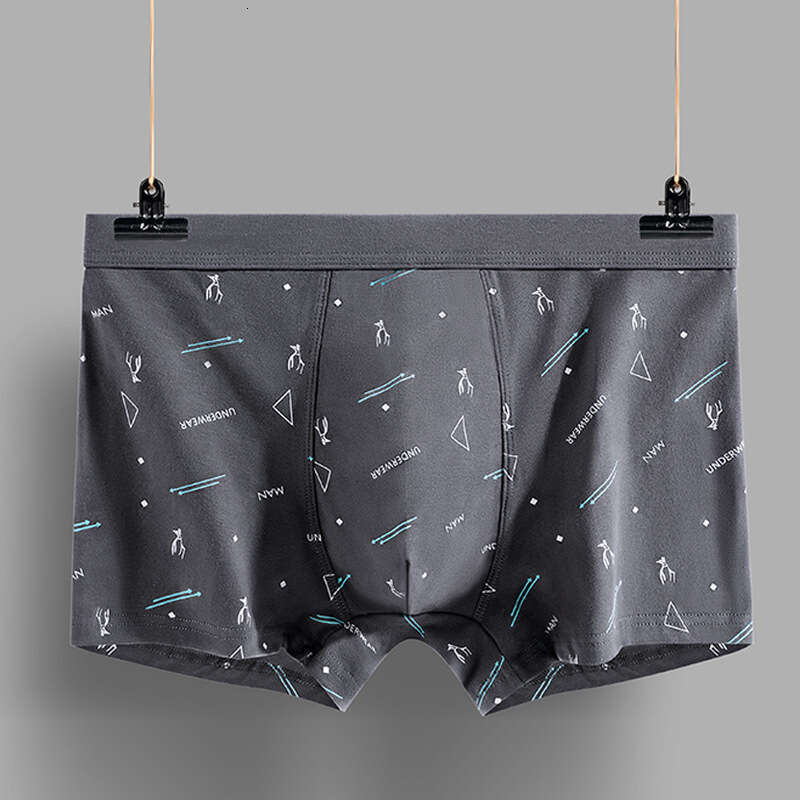 New 3D Pure Cotton Men's Printed Boxer Underwear Boxer Calecon Mens Boxers Designer Mens Underwear Designer Boxers Boxer Men Underwear Mutande