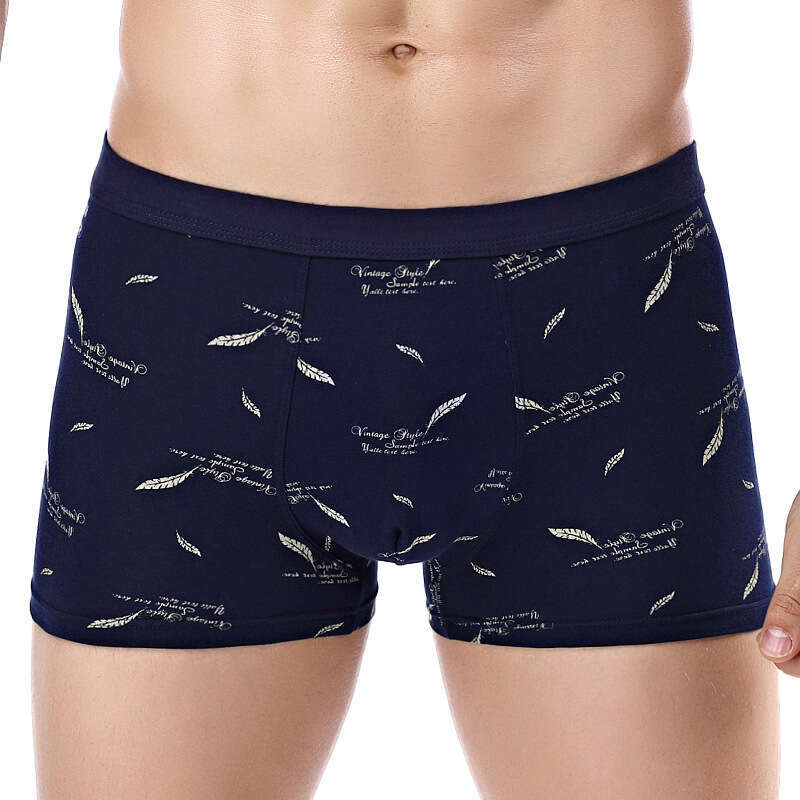 Printed 3D Underwear, Pure Cotton Men's Printed Boxer Underwear Men Underwear Designer Designer Underwear Men Underwear Boxers for Men Mens Boxer