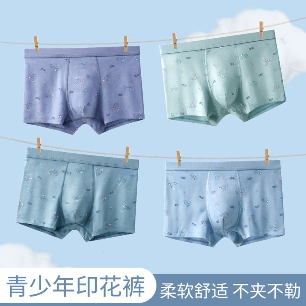 50S Pure Cotton Underwear, Breathable Printed Flat Corner Pants, 3DU Protruding Youth Development Period Student Men's Underwear Panties Mutande 