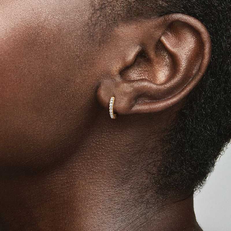Sparkling Hie Hoop Earrings Sterling Sier Dia Earring For Women Men Party Jewelry Gold earrings with Retail Box Set High quality
