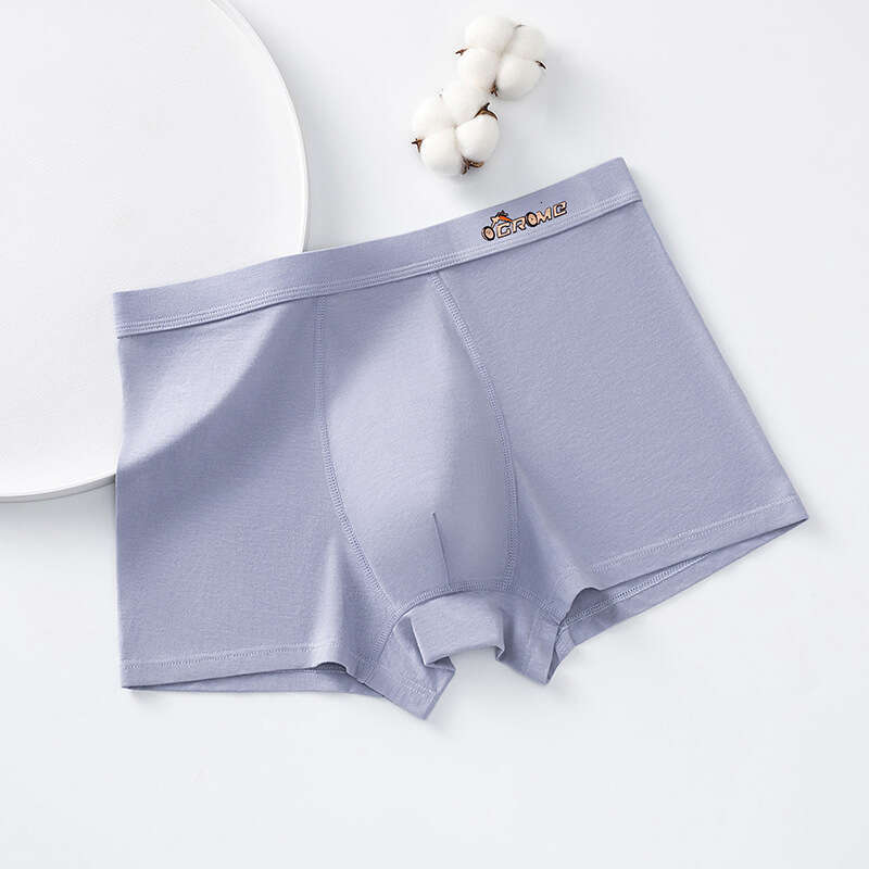 Cotton Printed for Teenagers in Their Developmental Stage, Men's U-shaped Protruding Large Space, No Trace, Student Flat Corner Underwear Boxers 