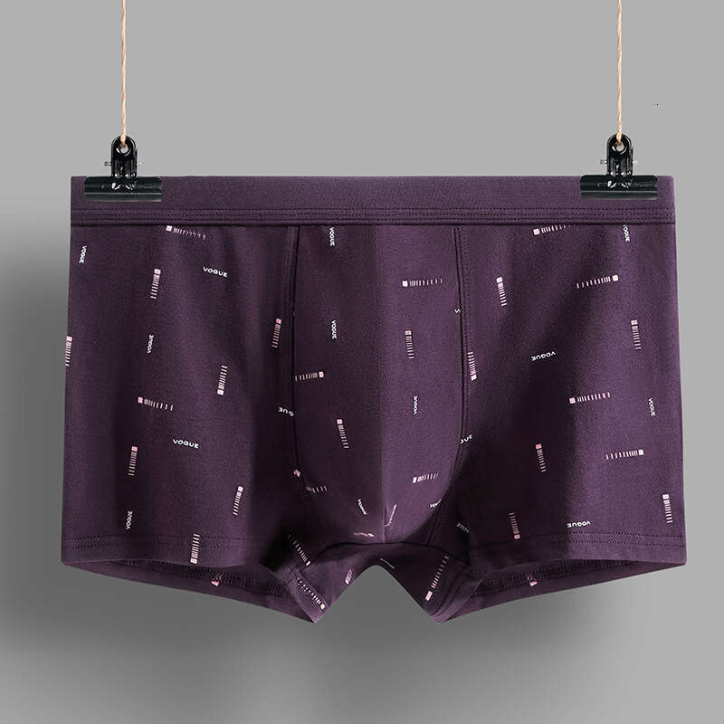 New 3D Pure Cotton Men's Printed Boxer Underwear Underwear Mutande Boxers for Men Designer Underwear Mens Underwear