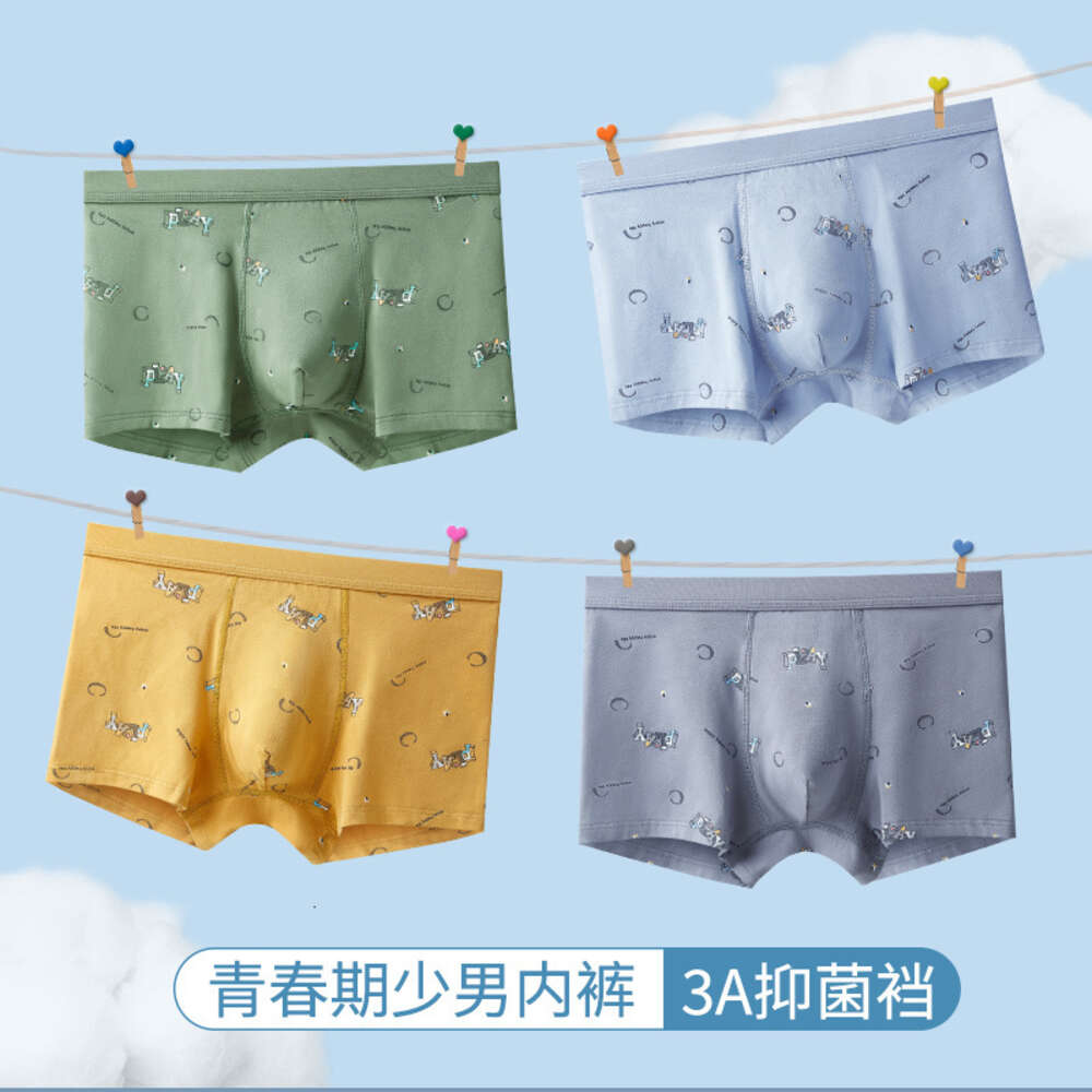 50S Pure Cotton Fashionable Printed Flat Corner Pants 3DU Convex Large Space Youth Development Period Men's Underwear Mens Underwear Designer Men