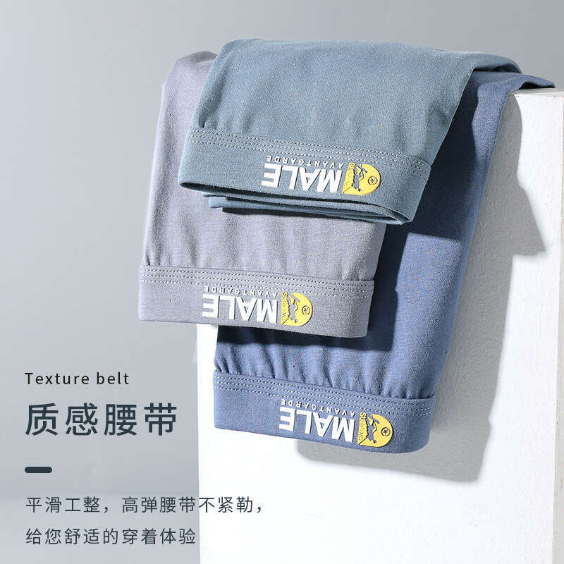 New Cotton 3D Printed Underwear Men's Seamless Four Corner Pants Mutande Uomo Boxer Boxer Men Underwear Designer Mens Boxers Designer Underwear B