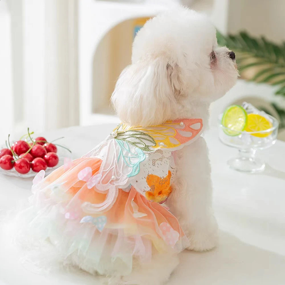Big Butterfly Small Dogs Dress Mesh Lace Thin Apparel Rainbow Pet Tutu Winged Puppy Bridal Gown Tulle Skirt Clothing 240722 H260130