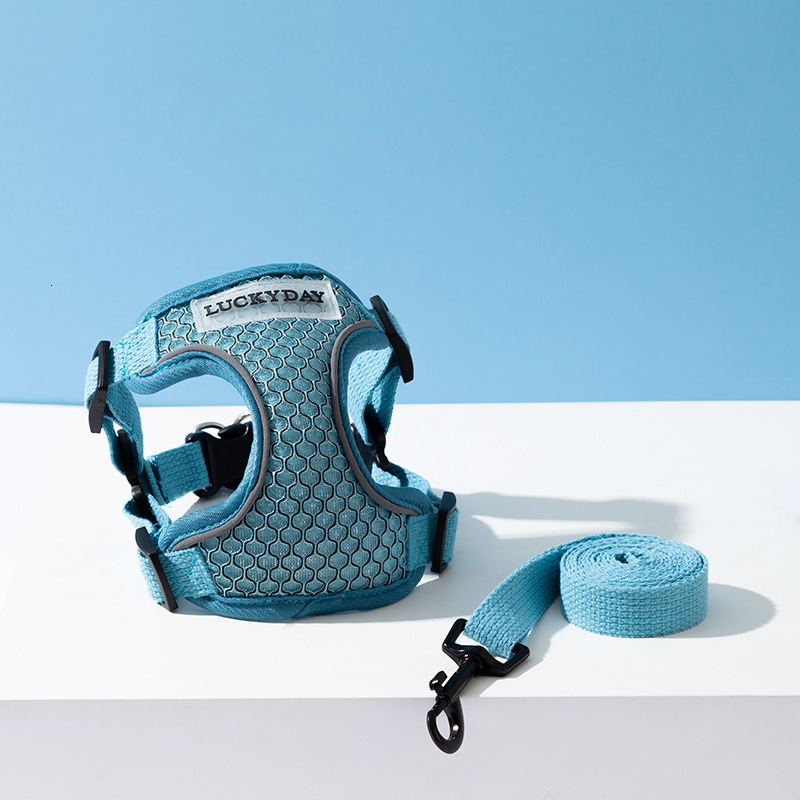 Versatile Insert Leash Cats and Dogs - Lightweight Breathable Chest Harness for Outdoor Use