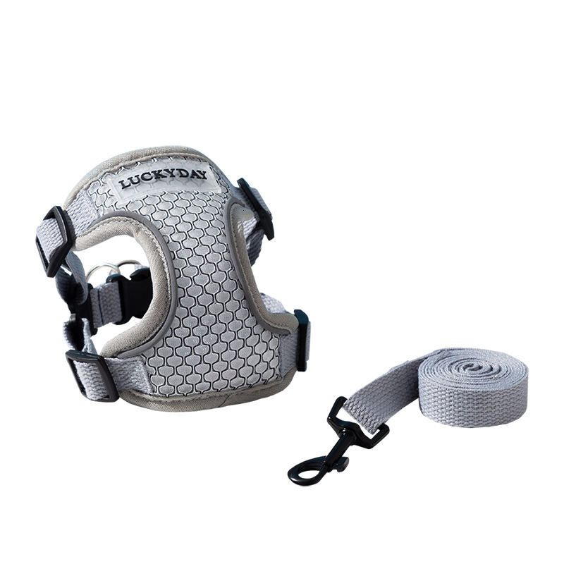 Versatile Insert Leash Cats and Dogs - Lightweight Breathable Chest Harness for Outdoor Use