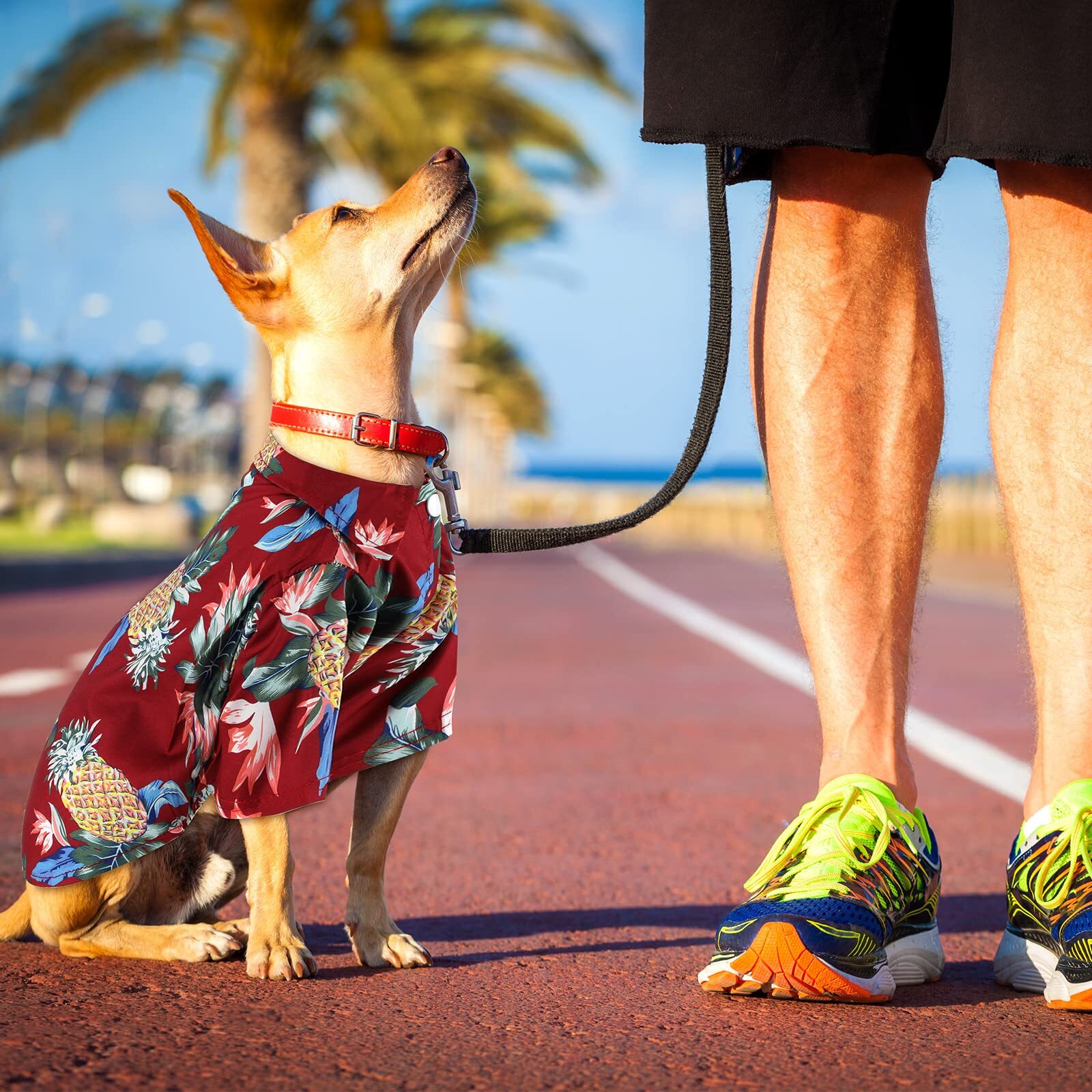 FOGOMOVE Summer Hawaii Style Floral Dog Hawaiian Printed Pet T-Shirts Breathable Cool Clothes Beach Seaside Shirt Sweatshirt for Small Puppy