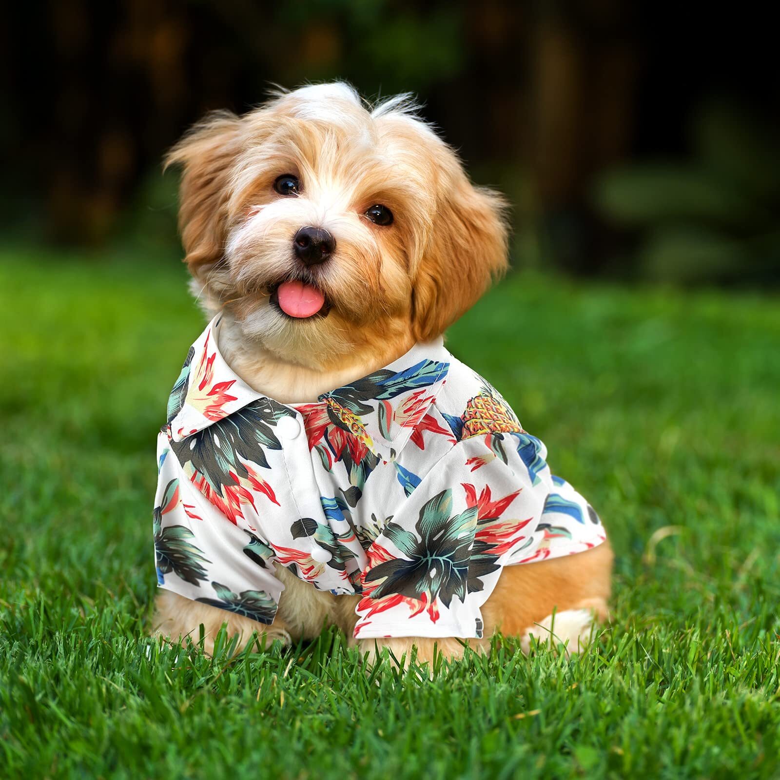 FOGOMOVE Summer Hawaii Style Floral Dog Hawaiian Printed Pet T-Shirts Breathable Cool Clothes Beach Seaside Shirt Sweatshirt for Small Puppy