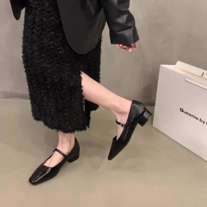 Spring Autumn French Temperament Thick Heel Black Mary Jane Single Shoes Womens Zapatos Mujer 240718