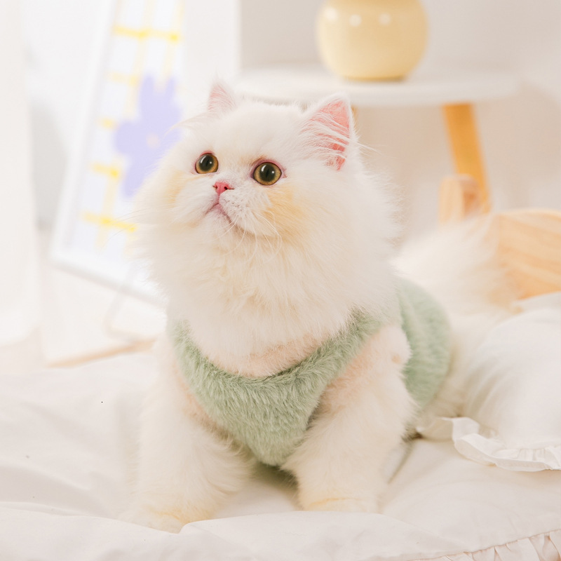 Cozy Two-Foot Veet Style Faux Mink Fur Inserts for Cats, Kittens, and Small Doggies During Chilly Seasons