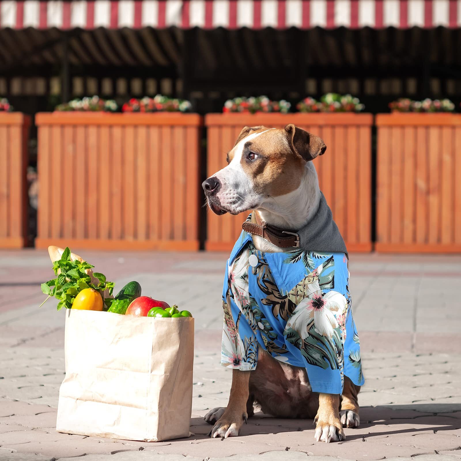 FOGOMOVE Summer Hawaii Style Floral Dog Hawaiian Printed Pet T-Shirts Breathable Cool Clothes Beach Seaside Shirt Sweatshirt for Small Puppy