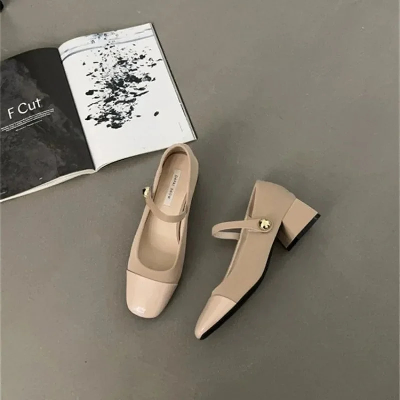 Thick Heel Mary Jane Single Shoes Womens Spring French Mid Evening Black Square Head Small Leather 240718