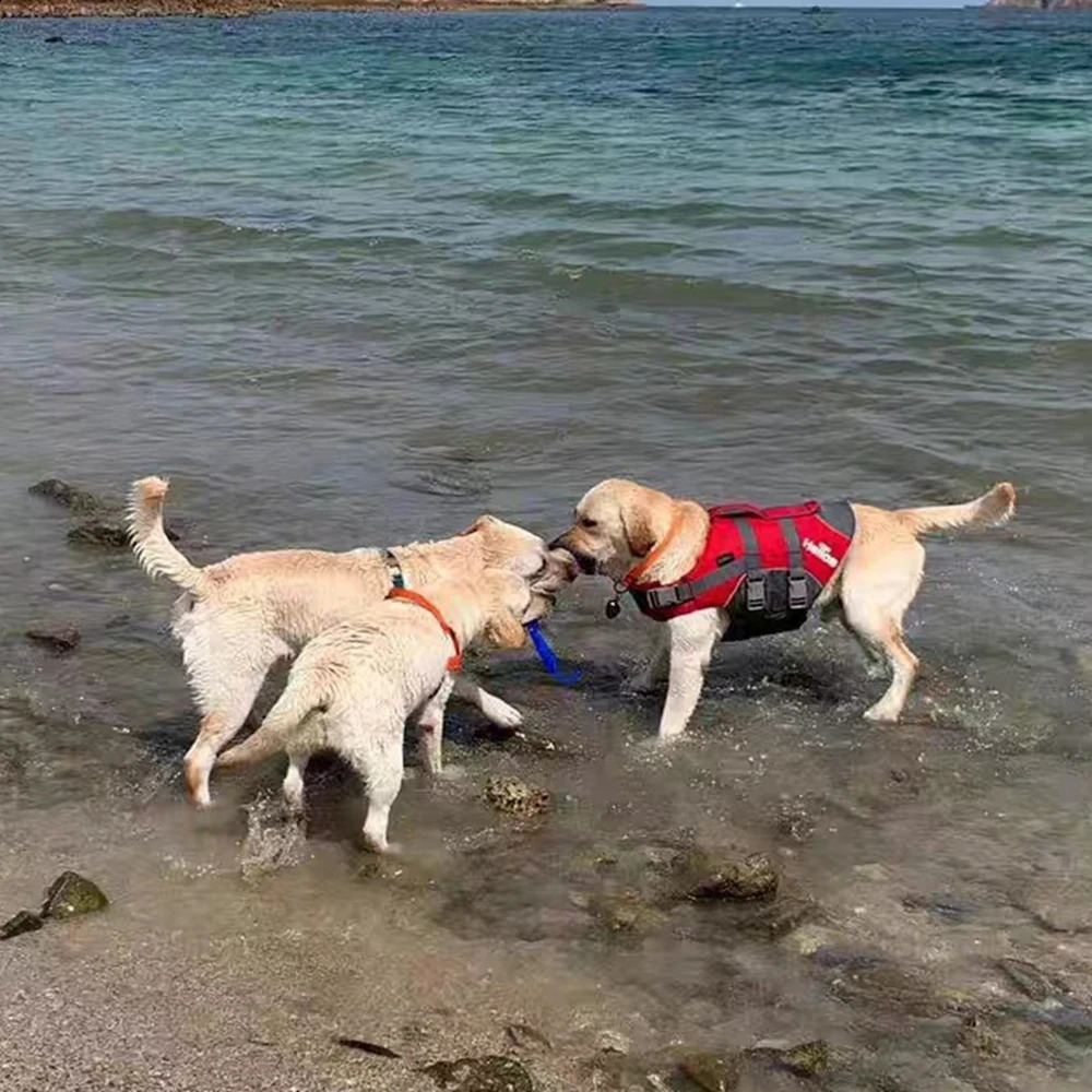 Life Jacket Swimming Lightweight Pet Lifesaver with Lift Handle Leash Ring Puppy Safety Vest for Small Medium Large Dog 240722