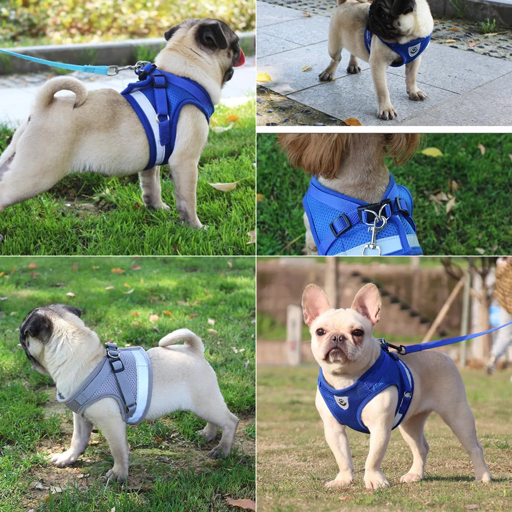 Quality Dog Harness And Leash Set Dog Accessories For Small Dog Chest Harness Dog Leash French Bulldog Pug Medium Pet Supplies 240722